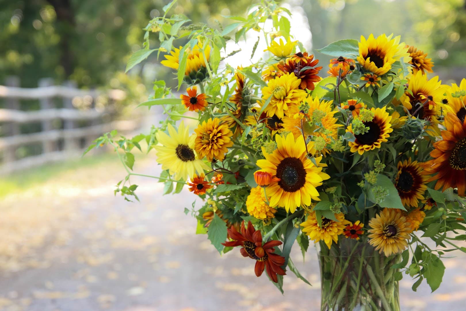 Linden Lane Flower Farm - Image 1