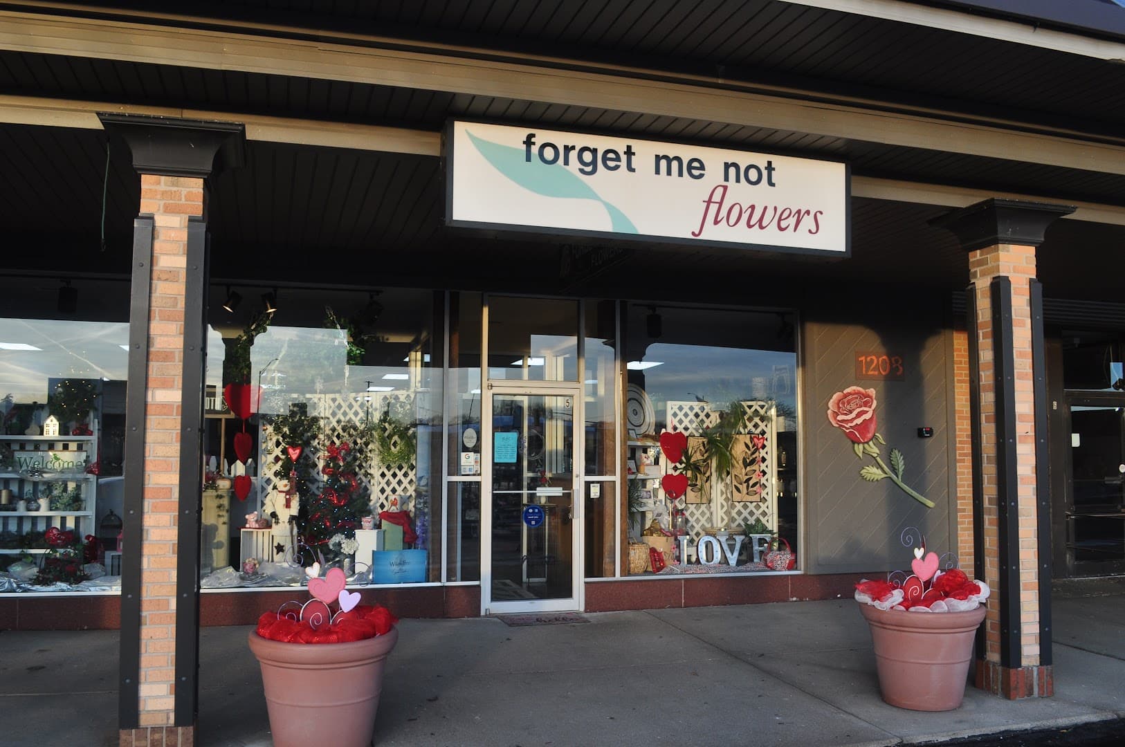 Forget Me Not Flowers - Image 1