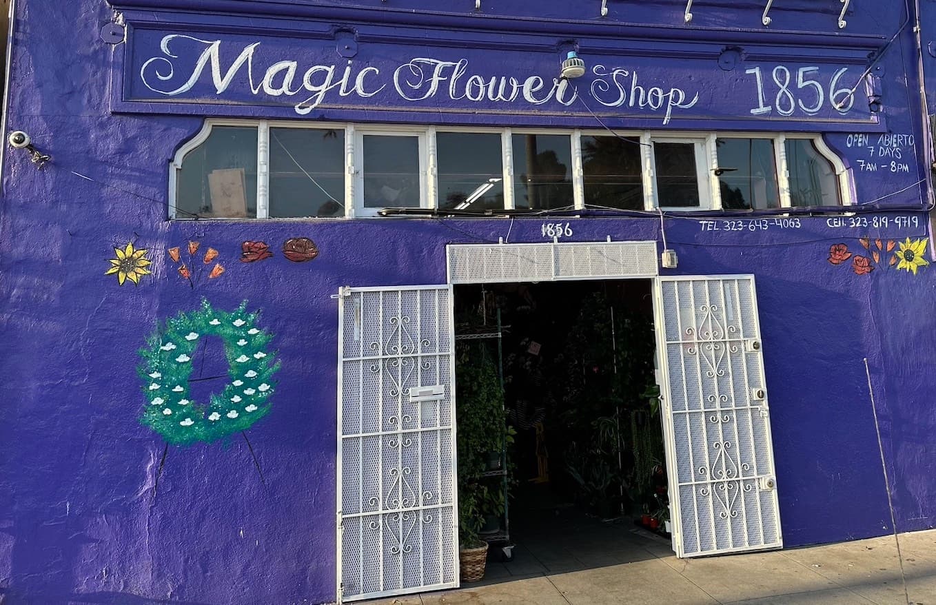 Magic Flower Shop - Image 1