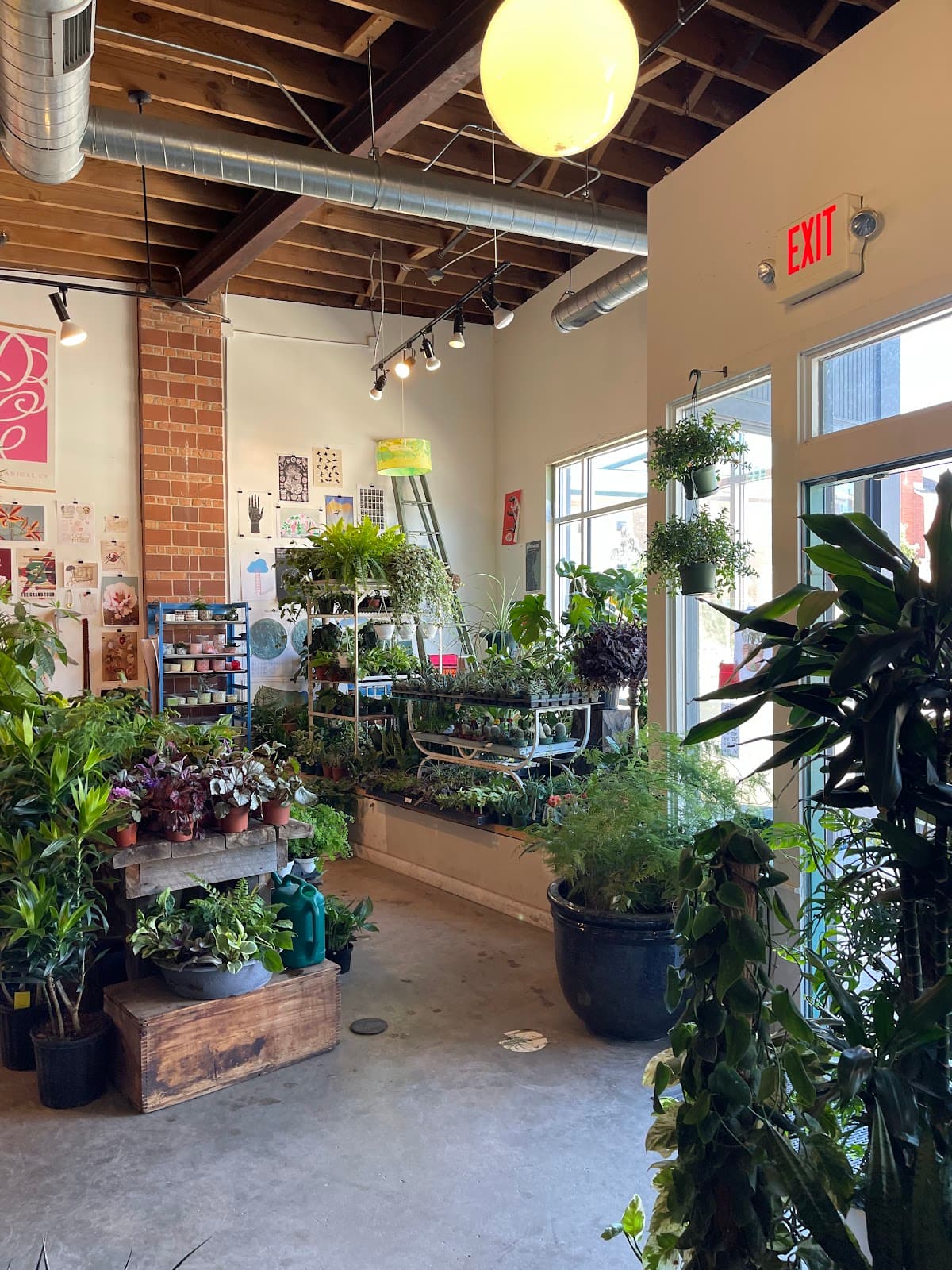 Darling Botanical Company - Image 1