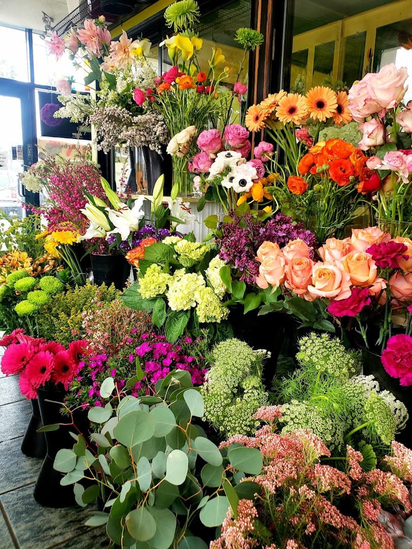 Rainbow Flowers - Image 1