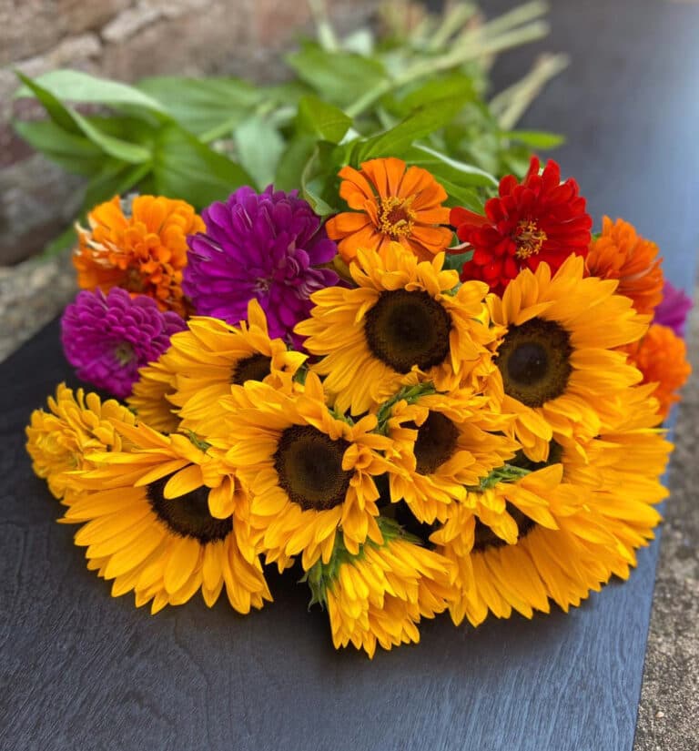 Poppy Petal Florist & Gifts (Formerly Hughes Florist & Gifts, LLC) - Image 1