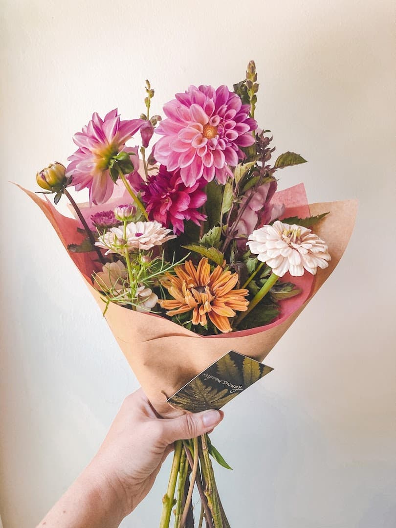 Famous Meadow - Image 1