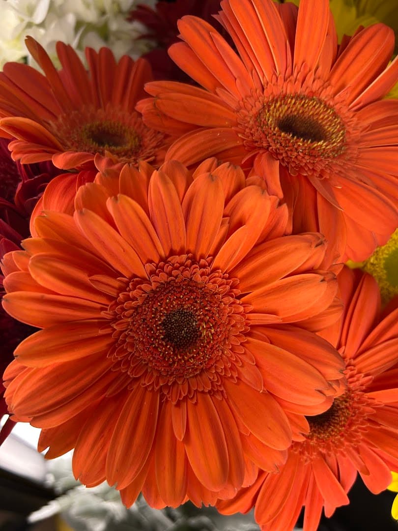 Vann Jernigan Florist - Image 1