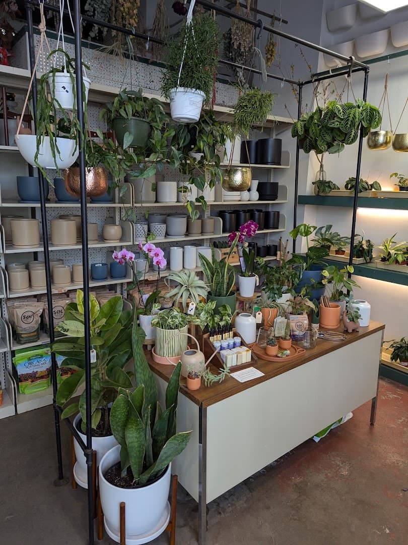 Plant Office - Image 1
