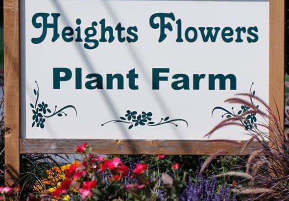 Heights Flowers-Plant Farm - Image 1