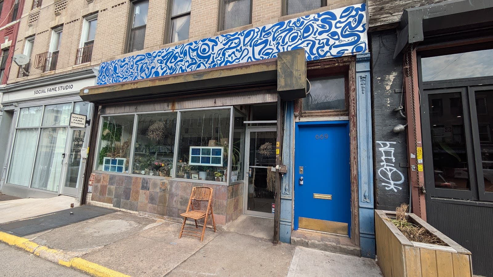 Chrysanthemum: Rare Teas & Flowers - Image 1