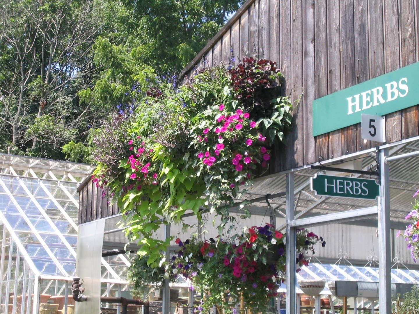Gilbertie's Herbs and Garden Center - Image 1