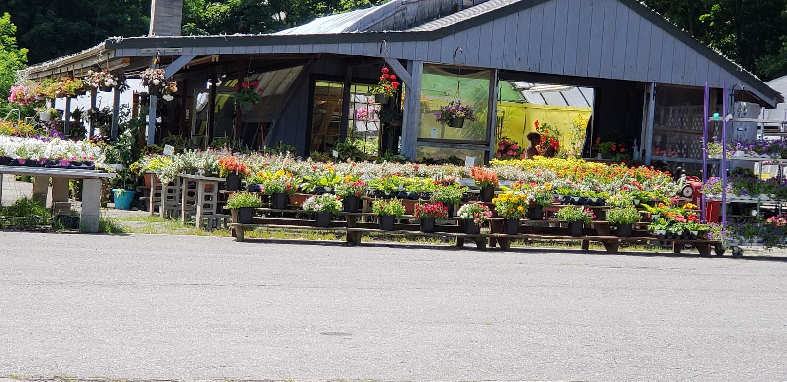 Potting Bench Florist & Gifts - Image 1