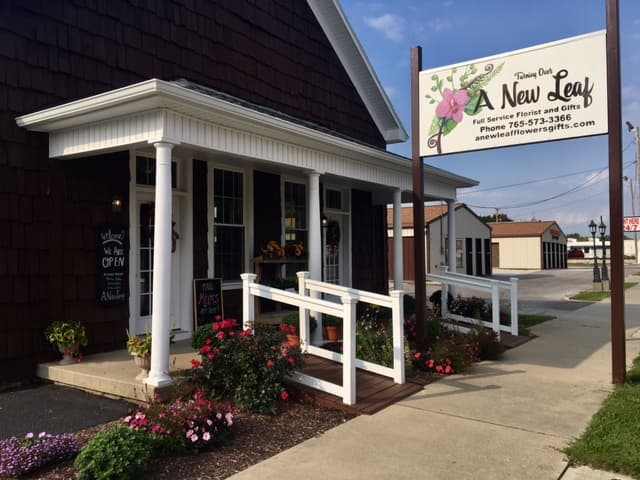 Turning Over A New Leaf Flowers & Gifts - Image 1