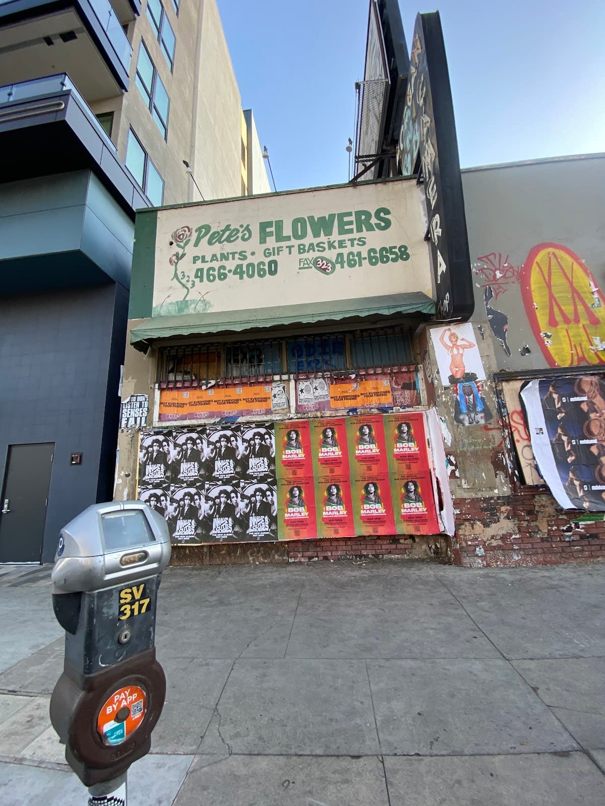 Pete's Flowers - Image 1