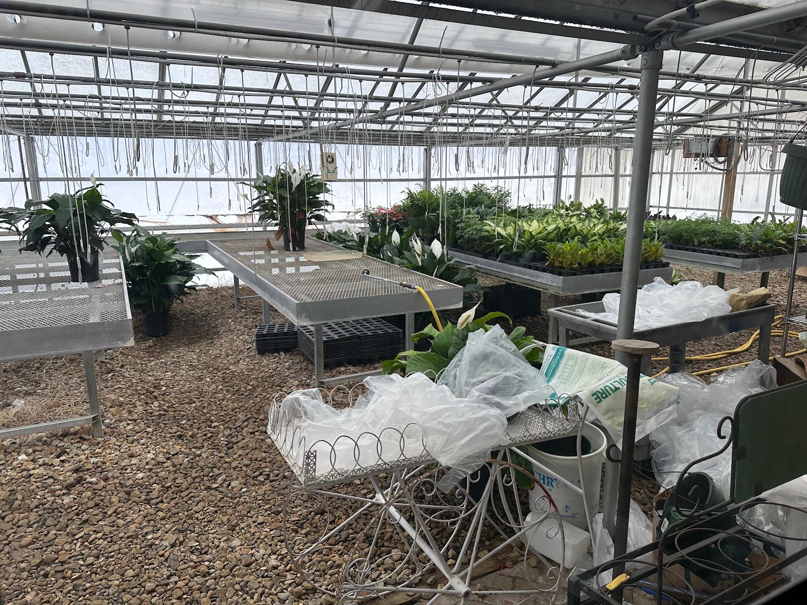 Charles L. Adgate Florist, Inc. - Image 1