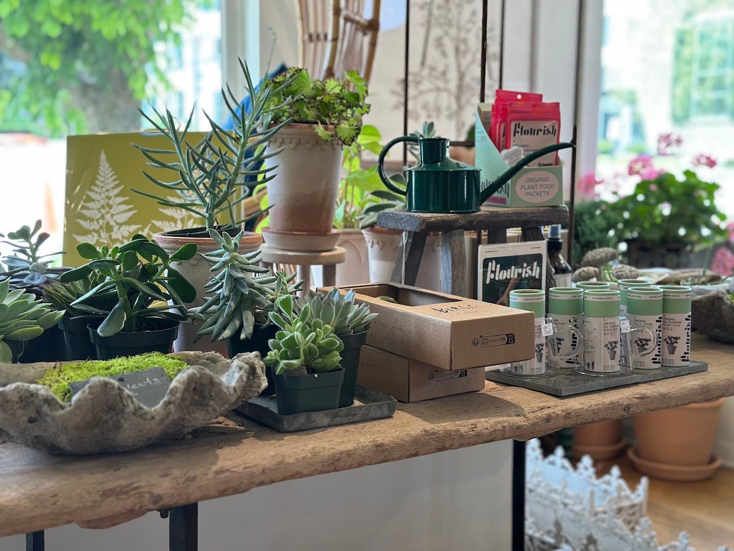 Petal On Main - Image 1