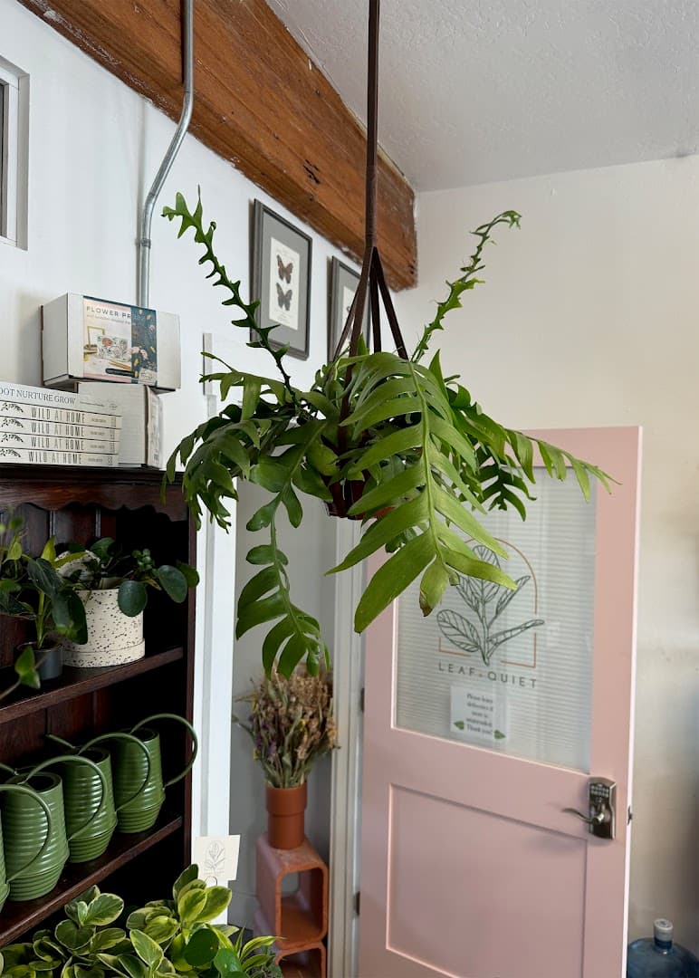 Leaf + Quiet - Image 1