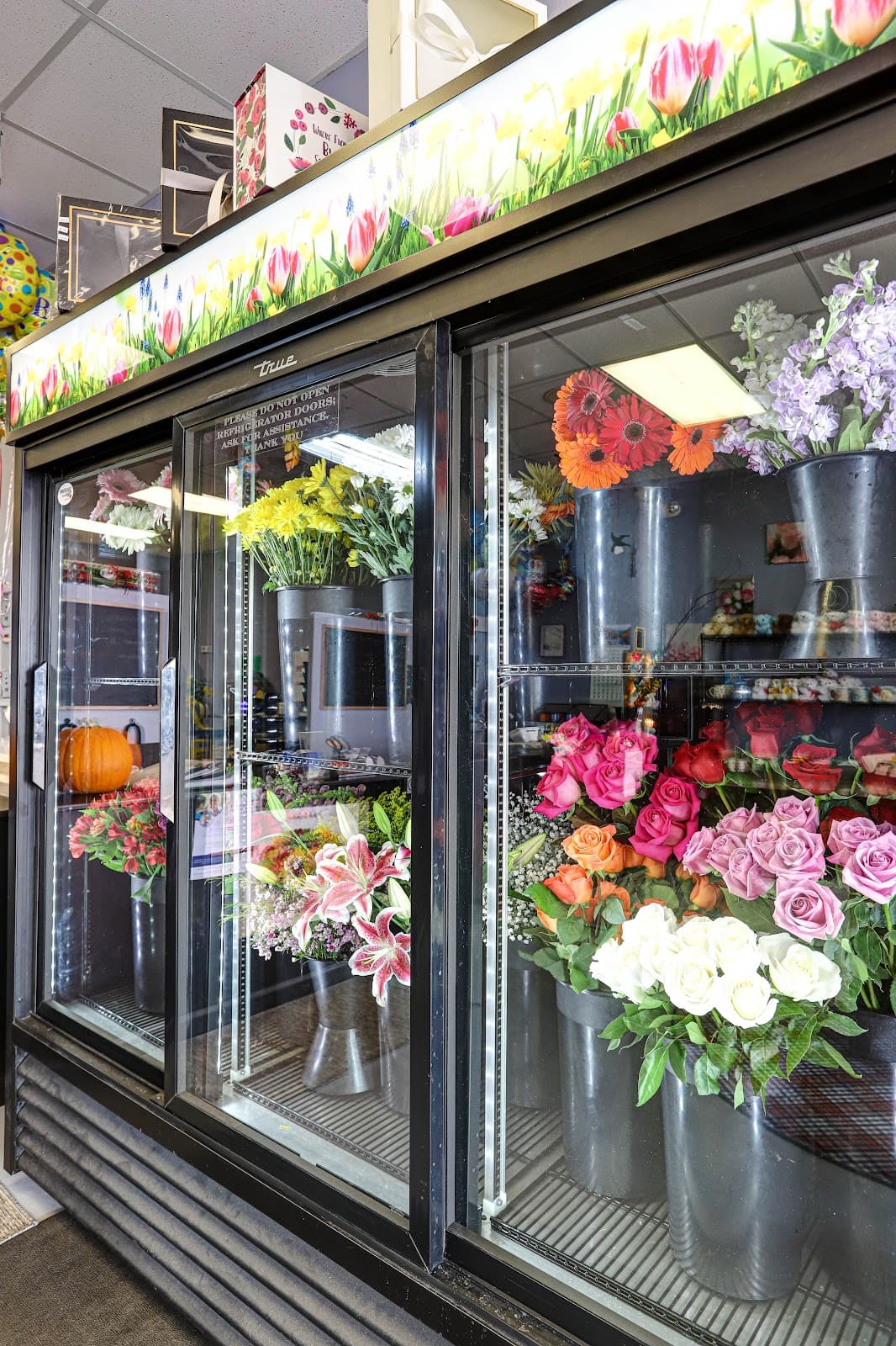 Steward Flowers - Image 1