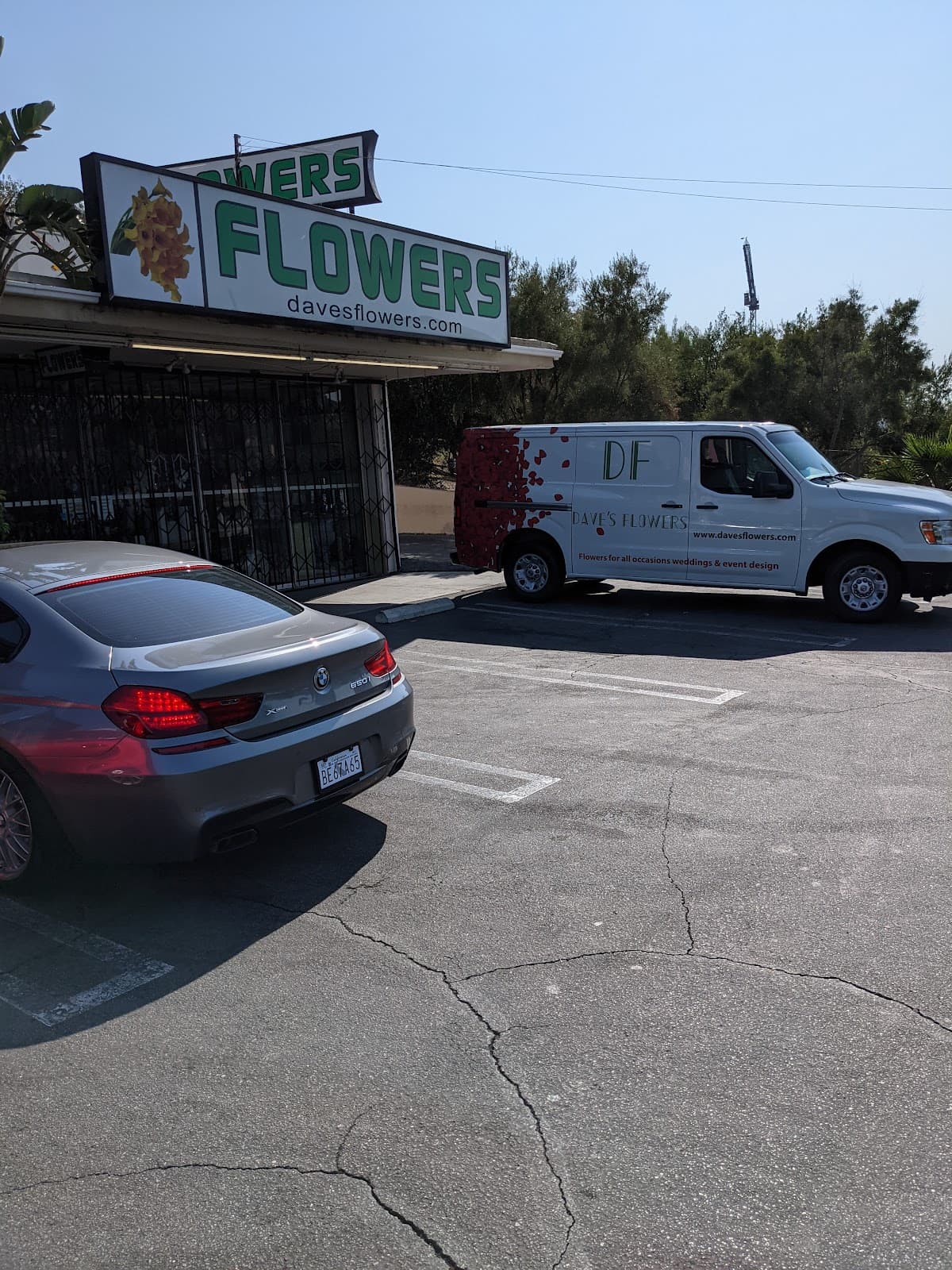 Floral Design by Dave's Flowers - Image 1