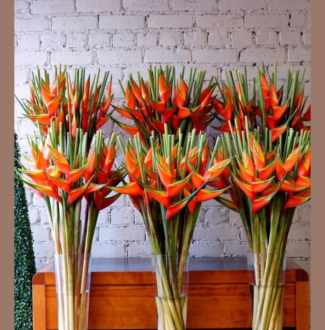 Brickell Exclusive Blooms - Image 1
