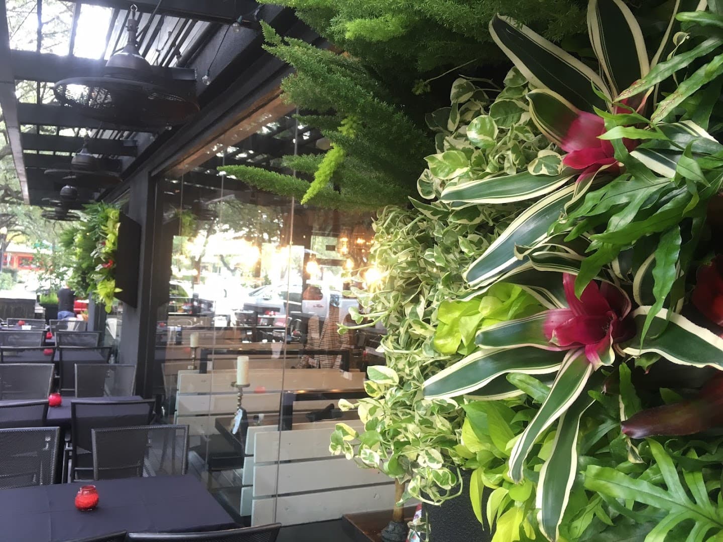 Texas Tropical Plants Inc - Image 1