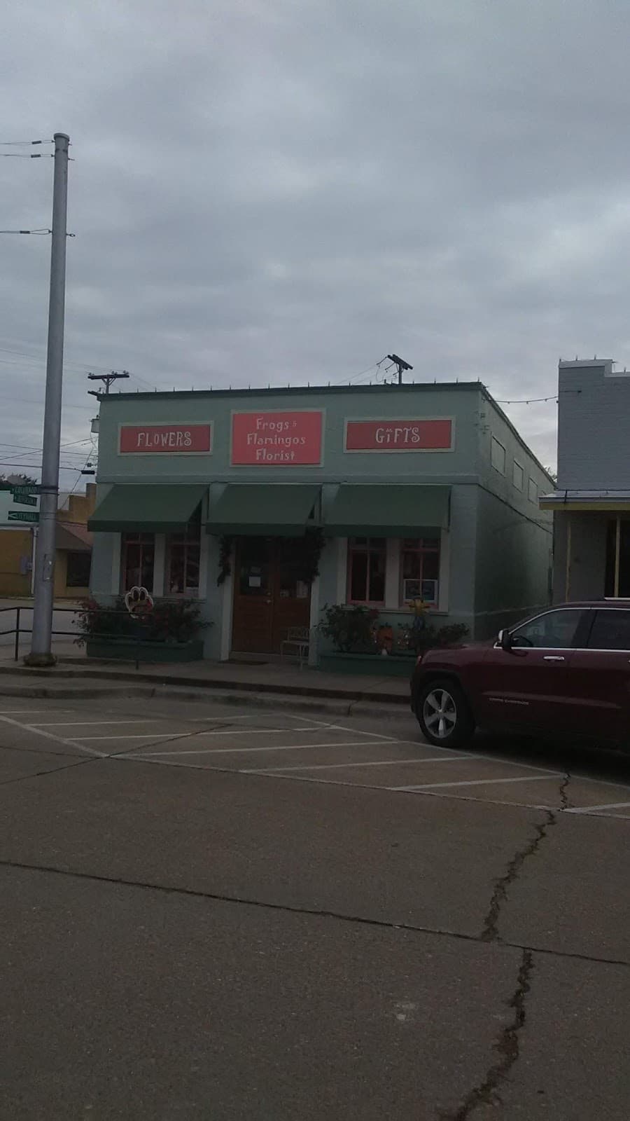 FROGS & FLAMINGOS FLORIST - Image 1