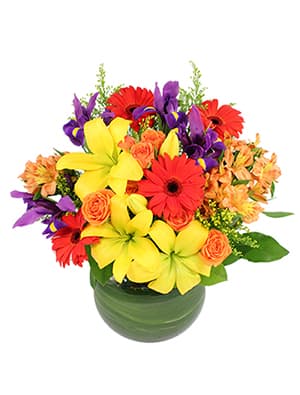 Park Avenue Florist - Image 1