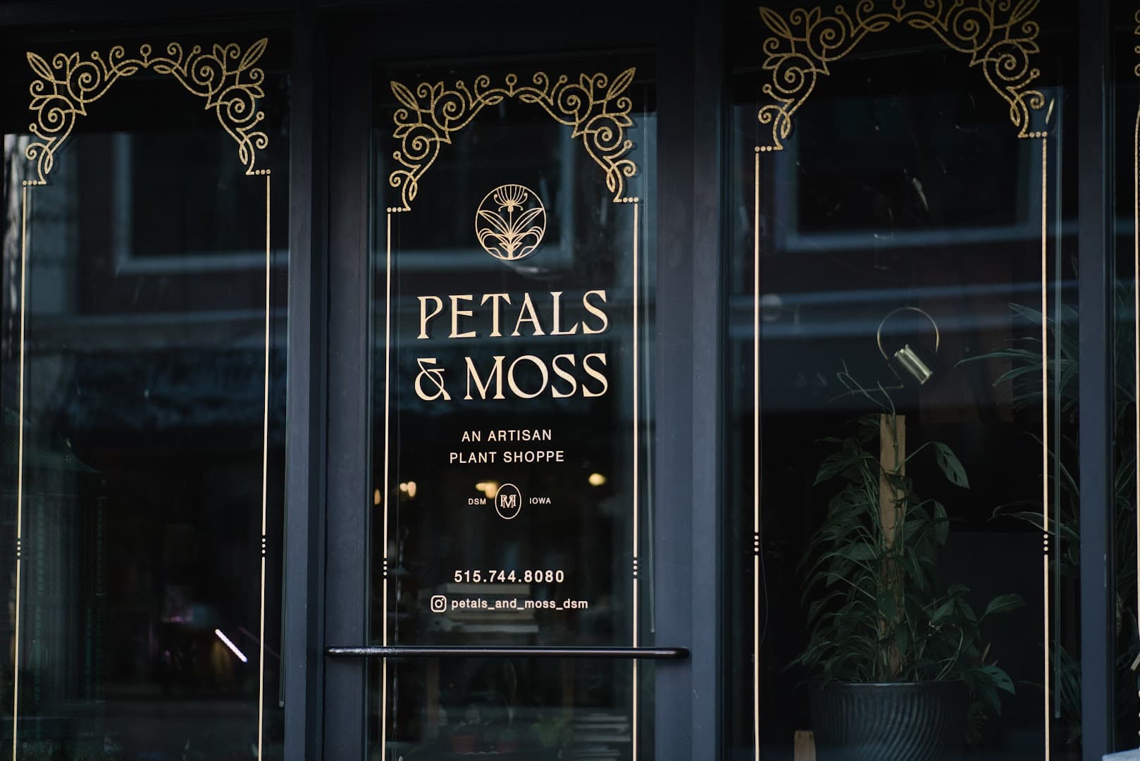Petals & Moss - Image 1