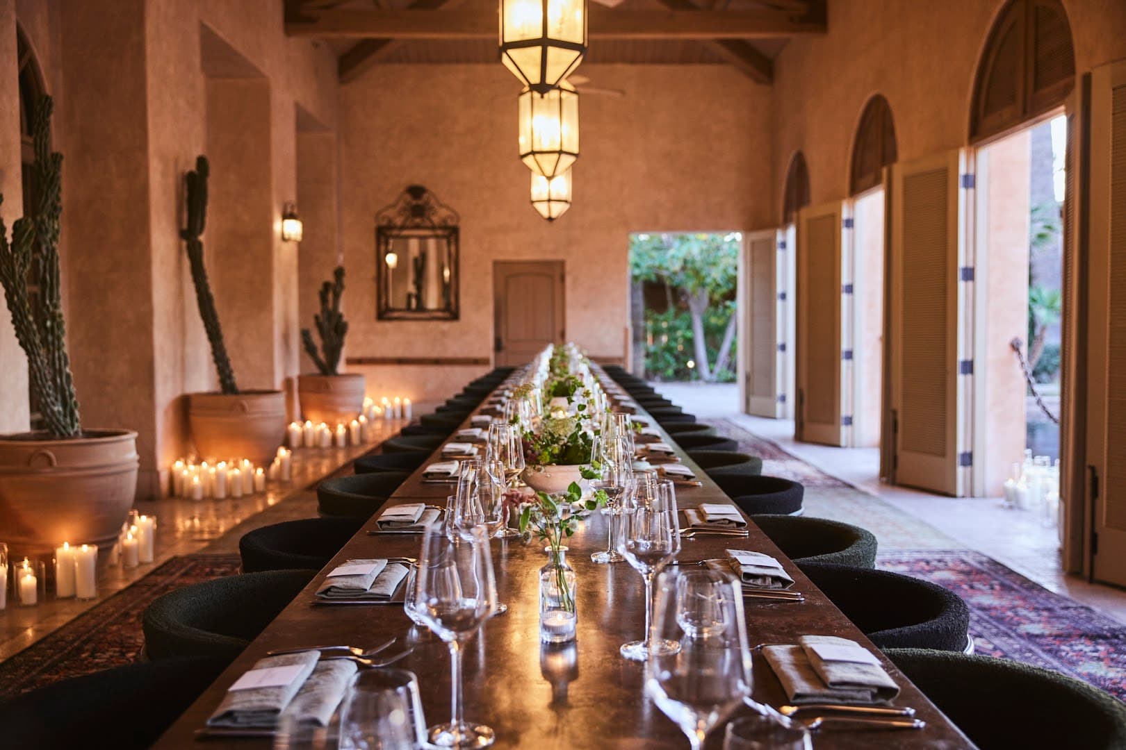 Urban Desert Flora - Image 1