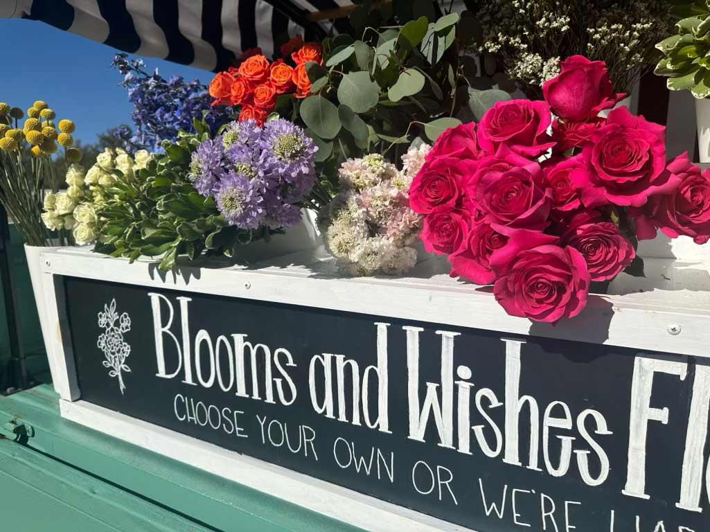 Blooms and Wishes - Image 1