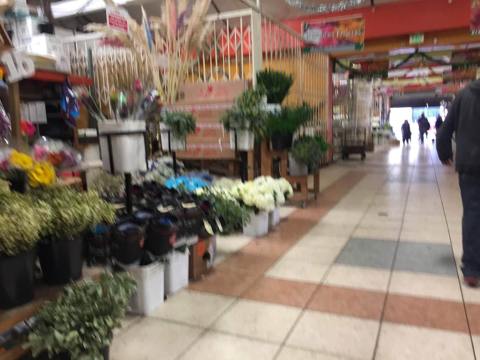 4 Seasons Flowers - Image 1