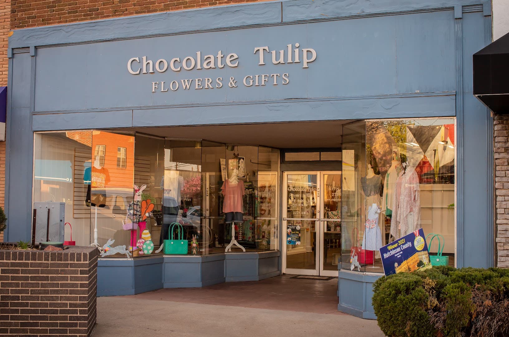 Chocolate Tulip - Image 1