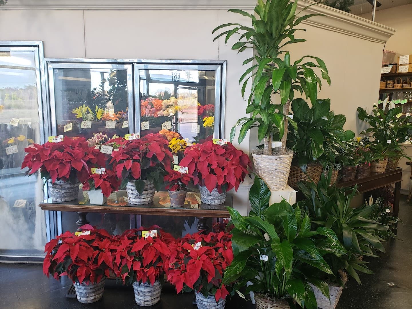 Denton Florist - Image 1