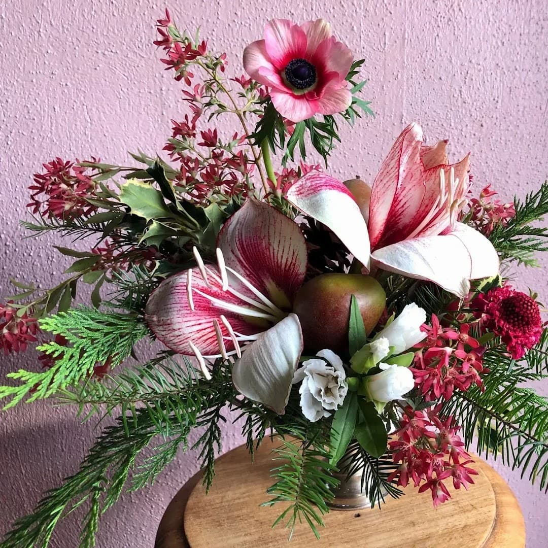 Moss Pink Flora & Botanicals - Image 1