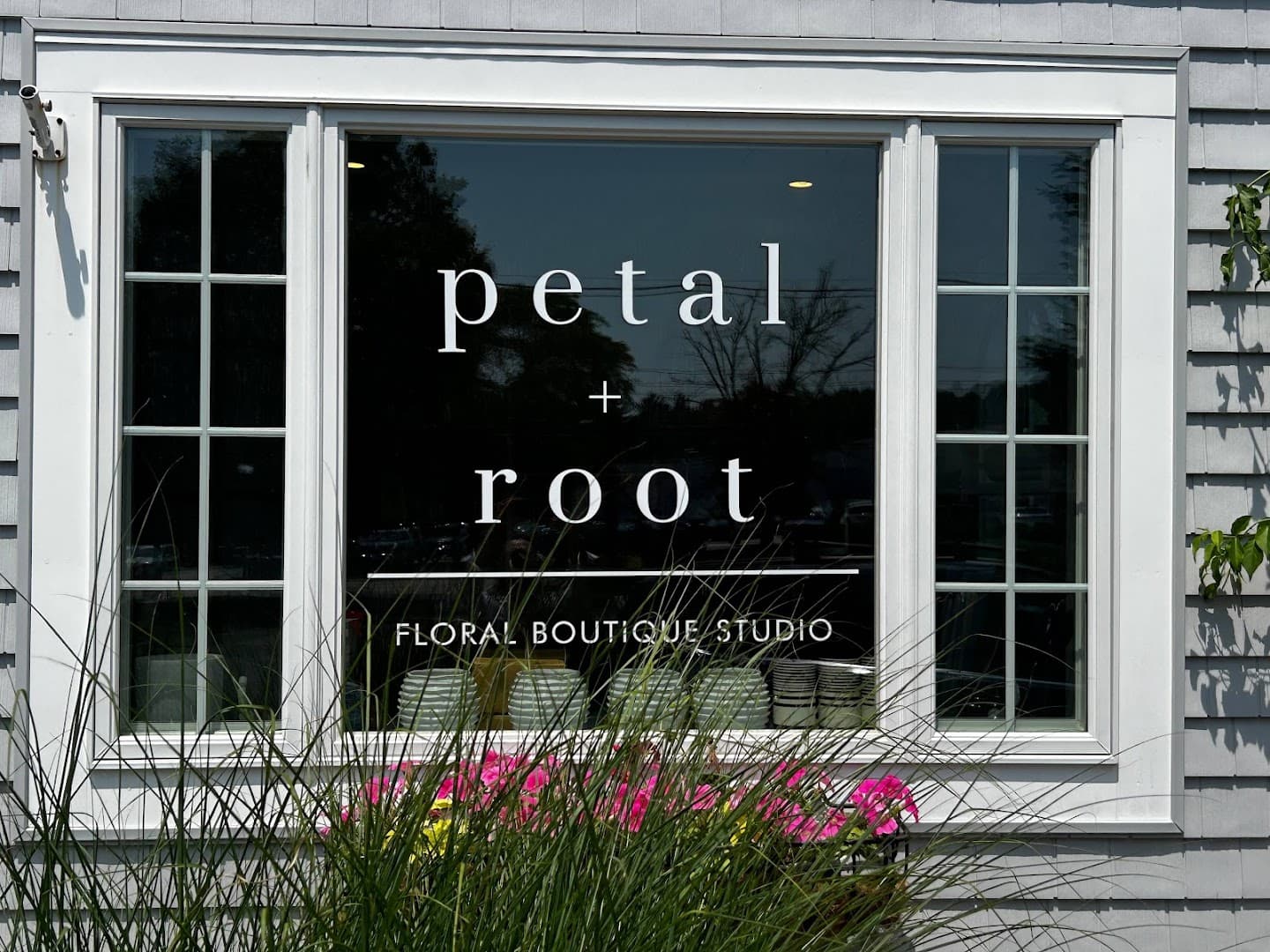 Petal and Root - Image 1