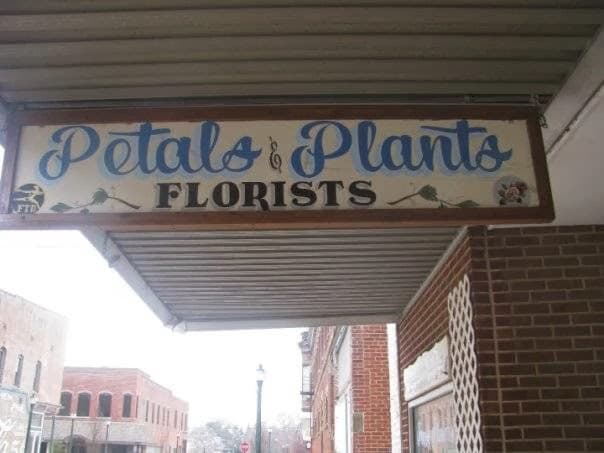 Petals & Plants Plus - Image 1