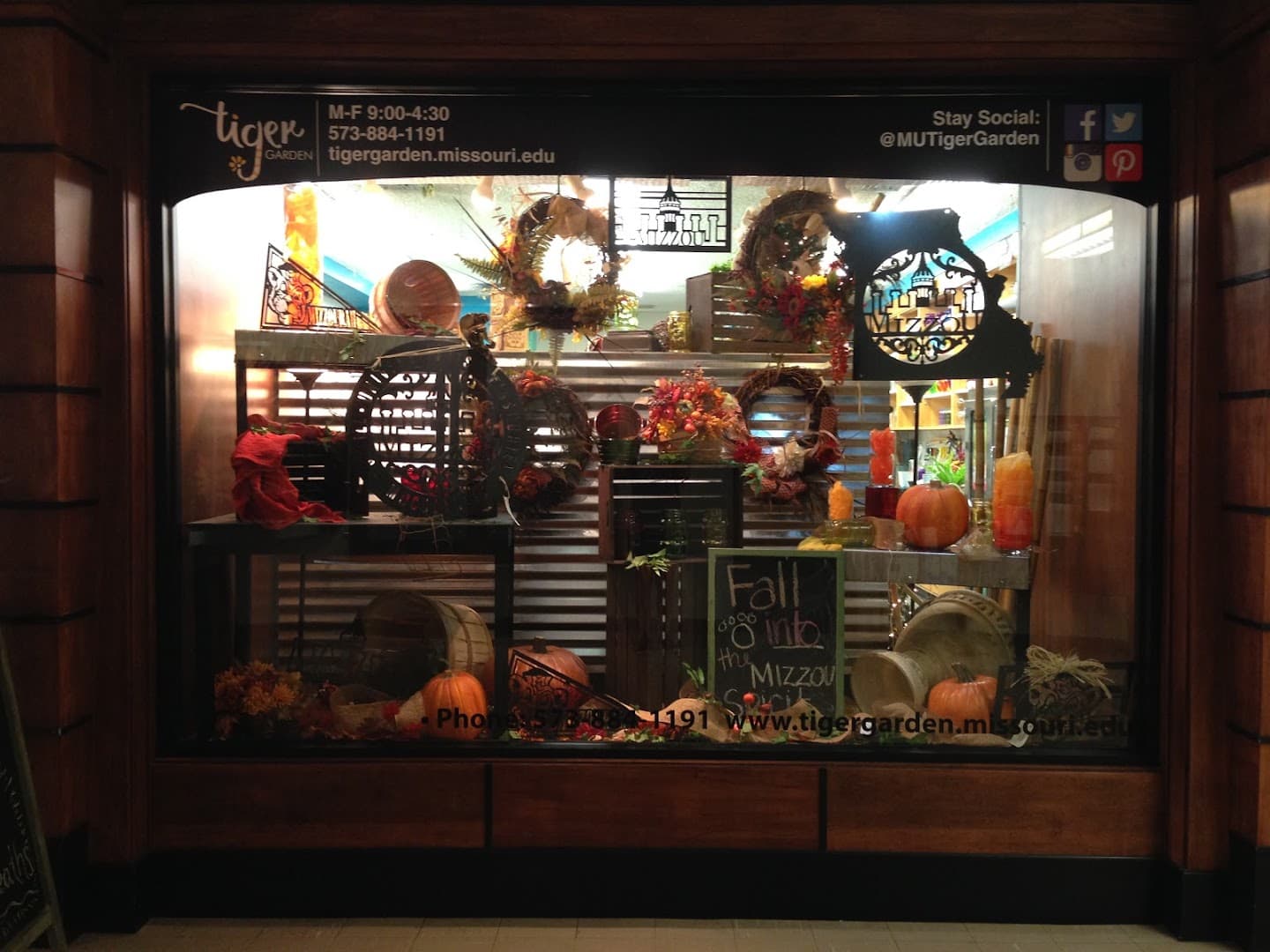 Tiger Garden - Image 1