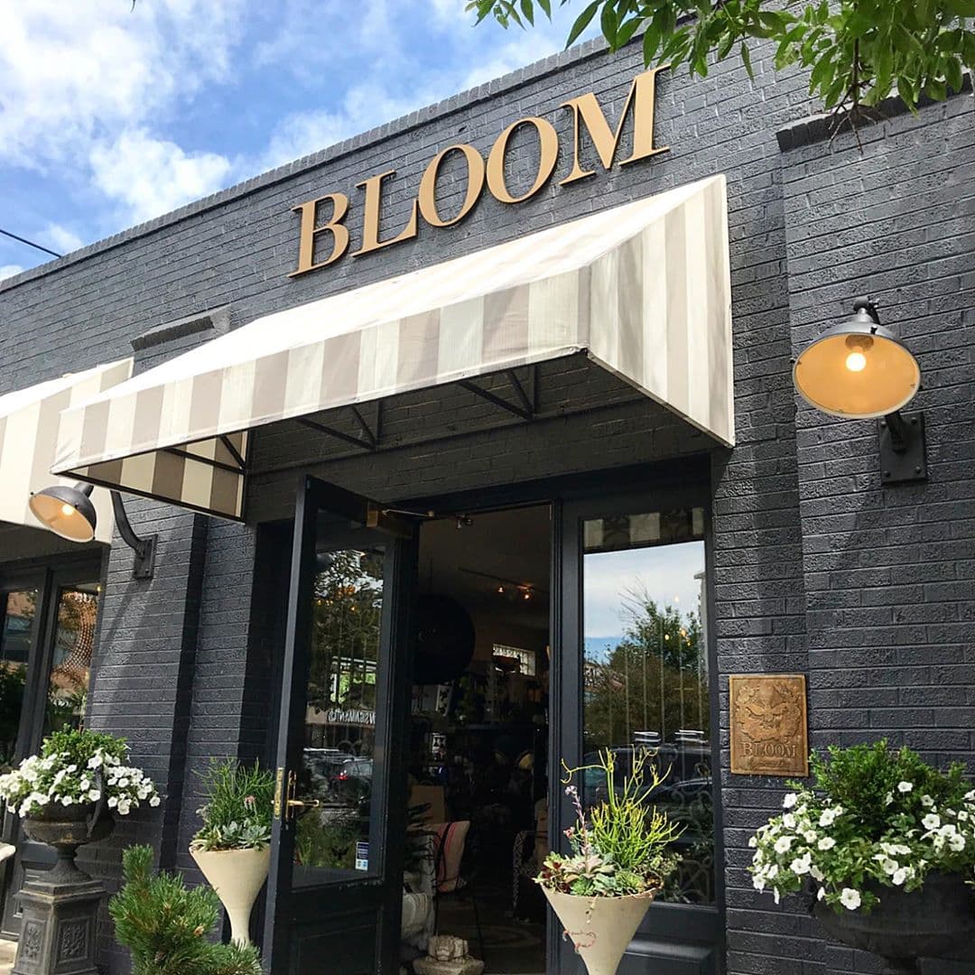 Bloom by Anuschka Denver Florist, Flower Shop & Gifts - Image 1