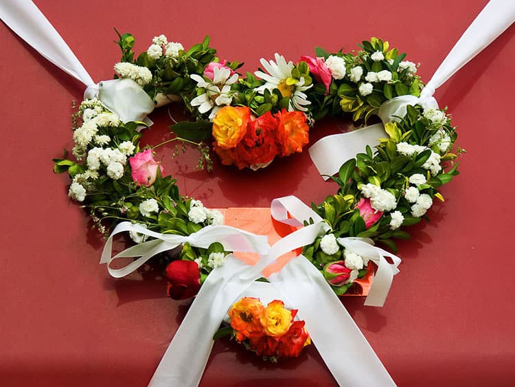 Blooming Rose - Image 1