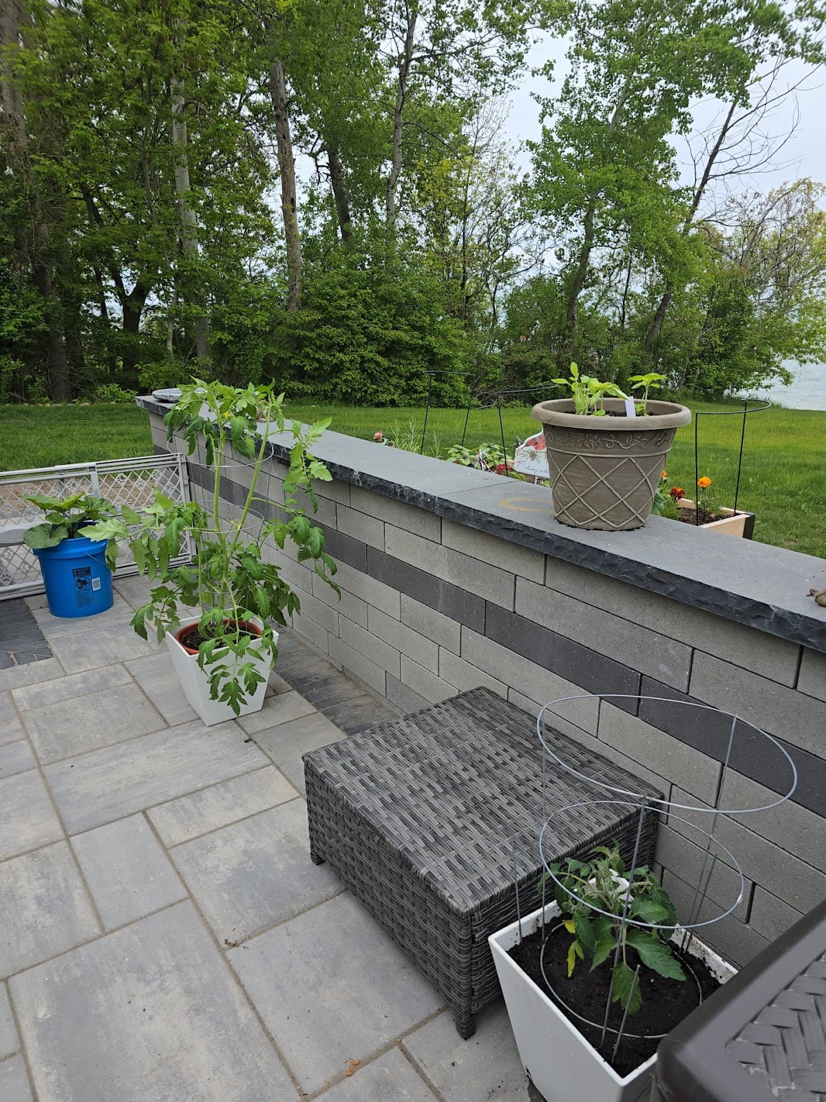 Croswell Greenhouse & Florist - Image 1