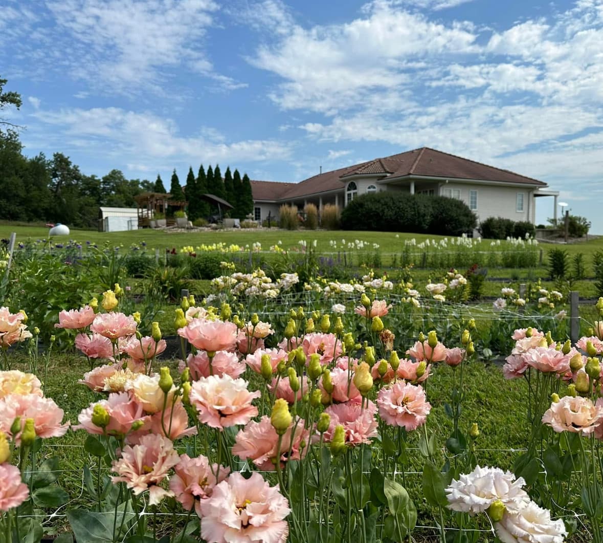 Iowa flower Farm - Image 1