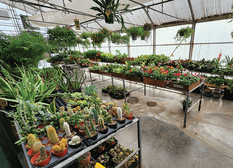 Baisch & Skinner Inc - Image 1