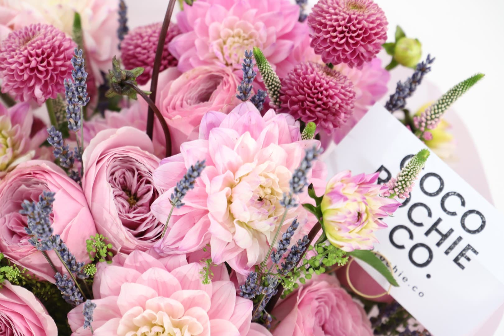 Coco Rochie & Co. - Image 1