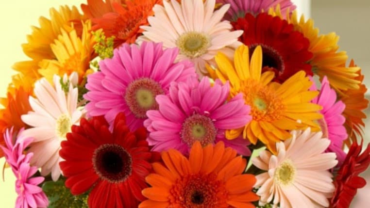 Carriage House Gifts & Flowers - Image 1