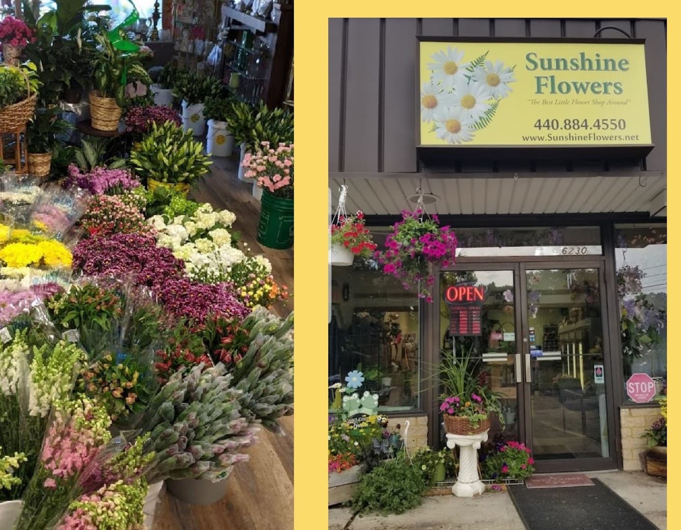 Sunshine Flowers Family Owned Florist - Image 1