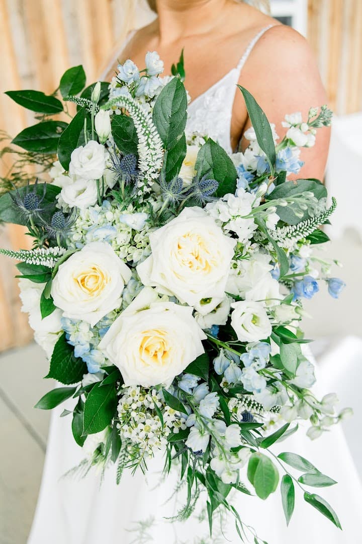 The Dancing Orchid (TDOflorist) - Image 1