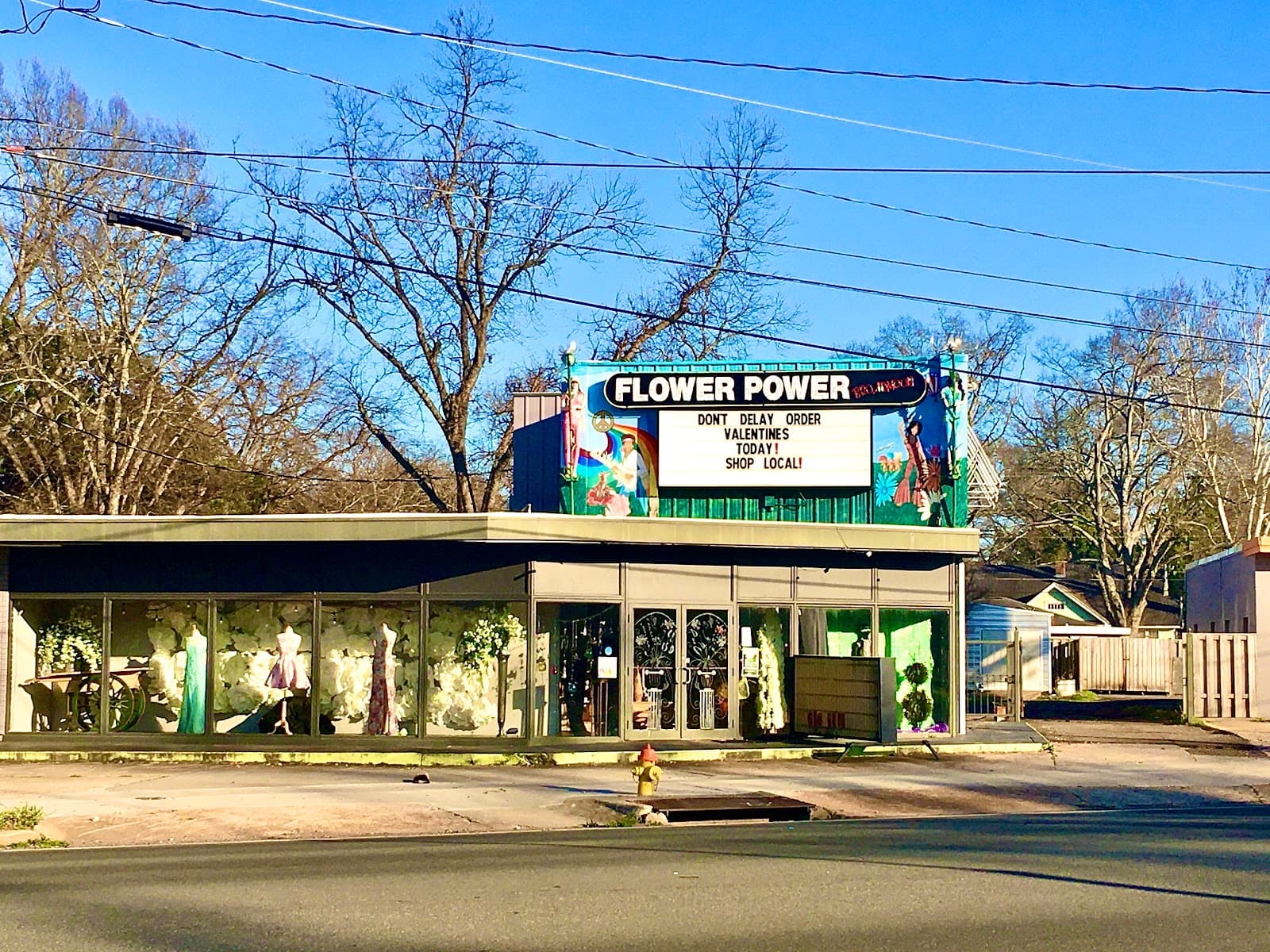 Flower Power - Image 1