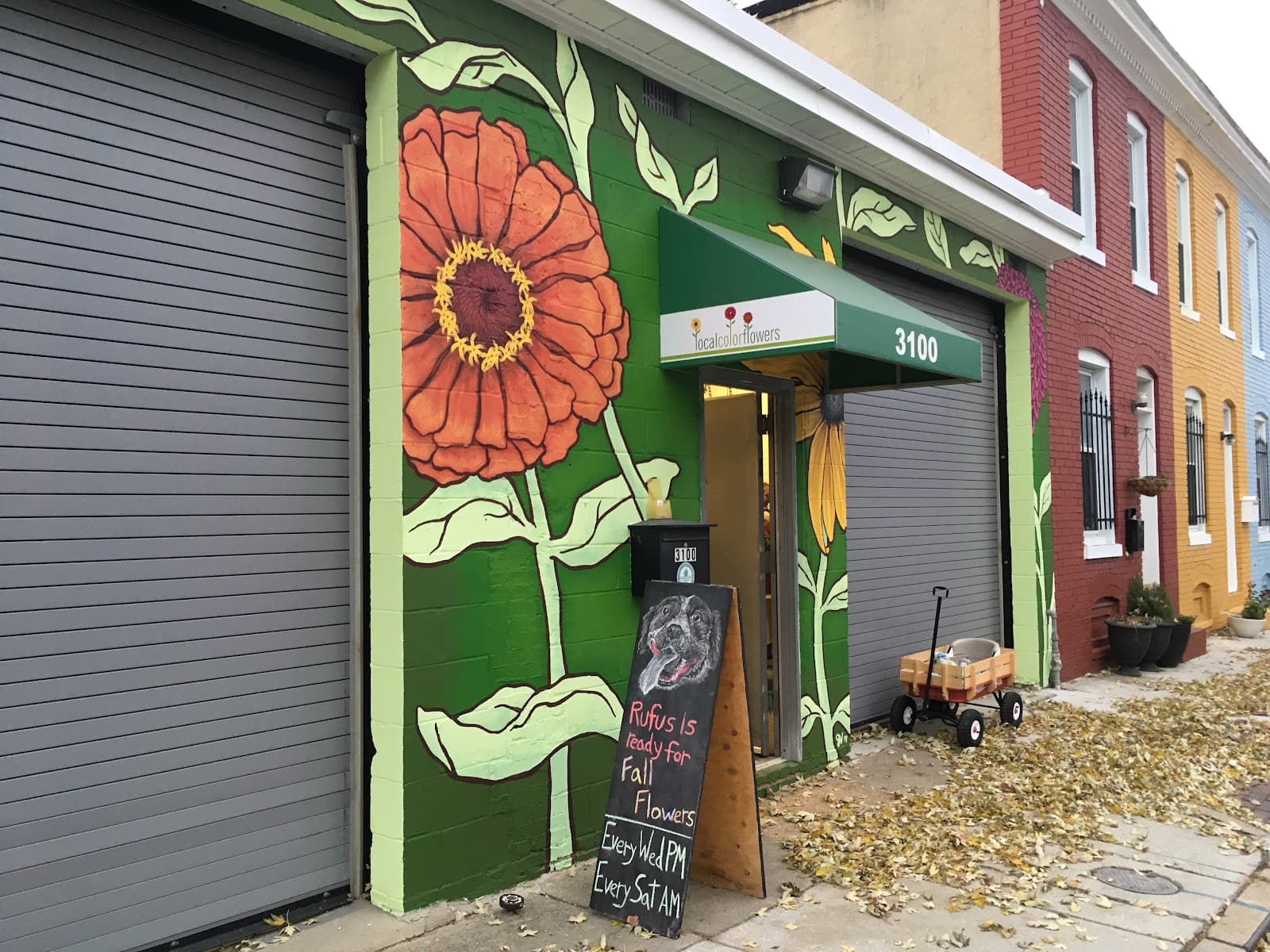 Local Color Flowers - Image 1