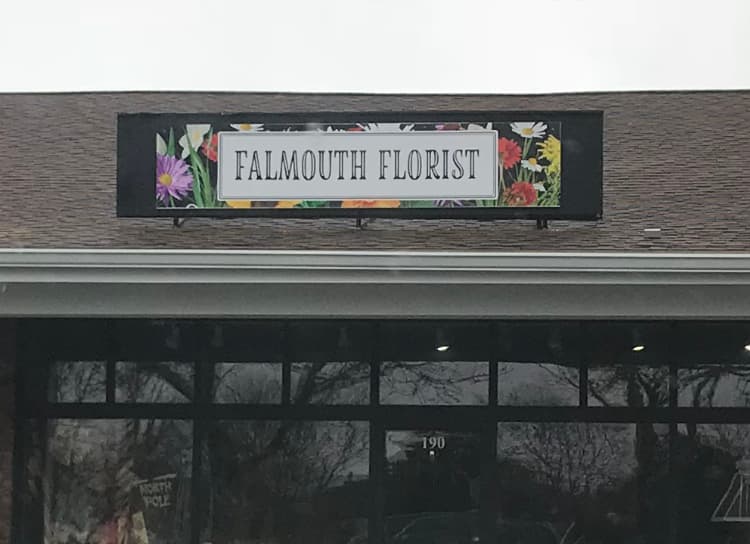 Falmouth Florist - Image 1