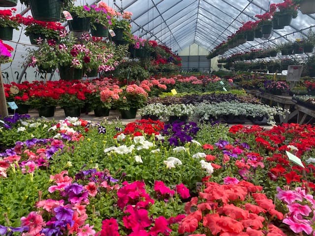 Anna's Flower Shoppe and Farm Market - Image 1