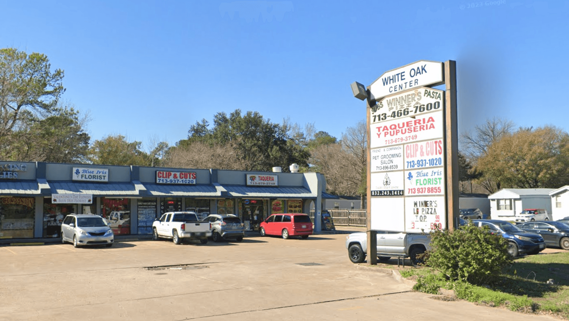 Blue Iris Florist - Image 1