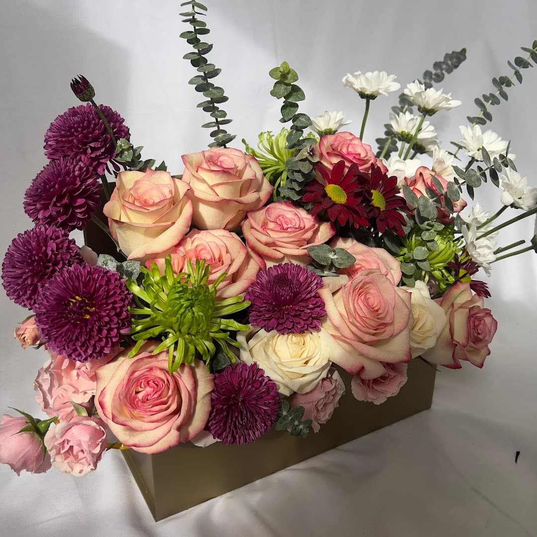 Msflora Studio - Image 1