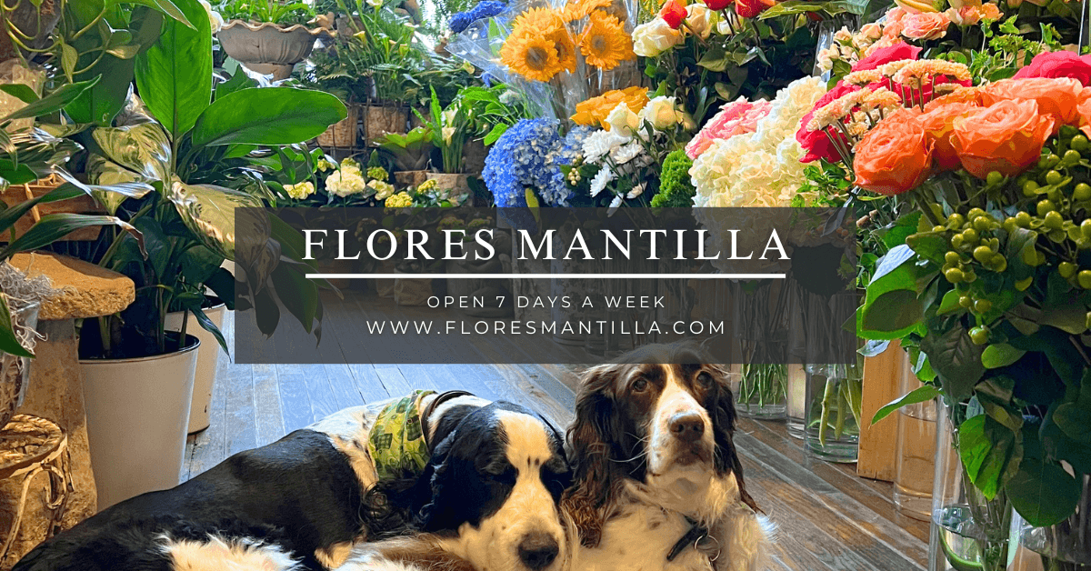 Flores Mantilla - Image 1